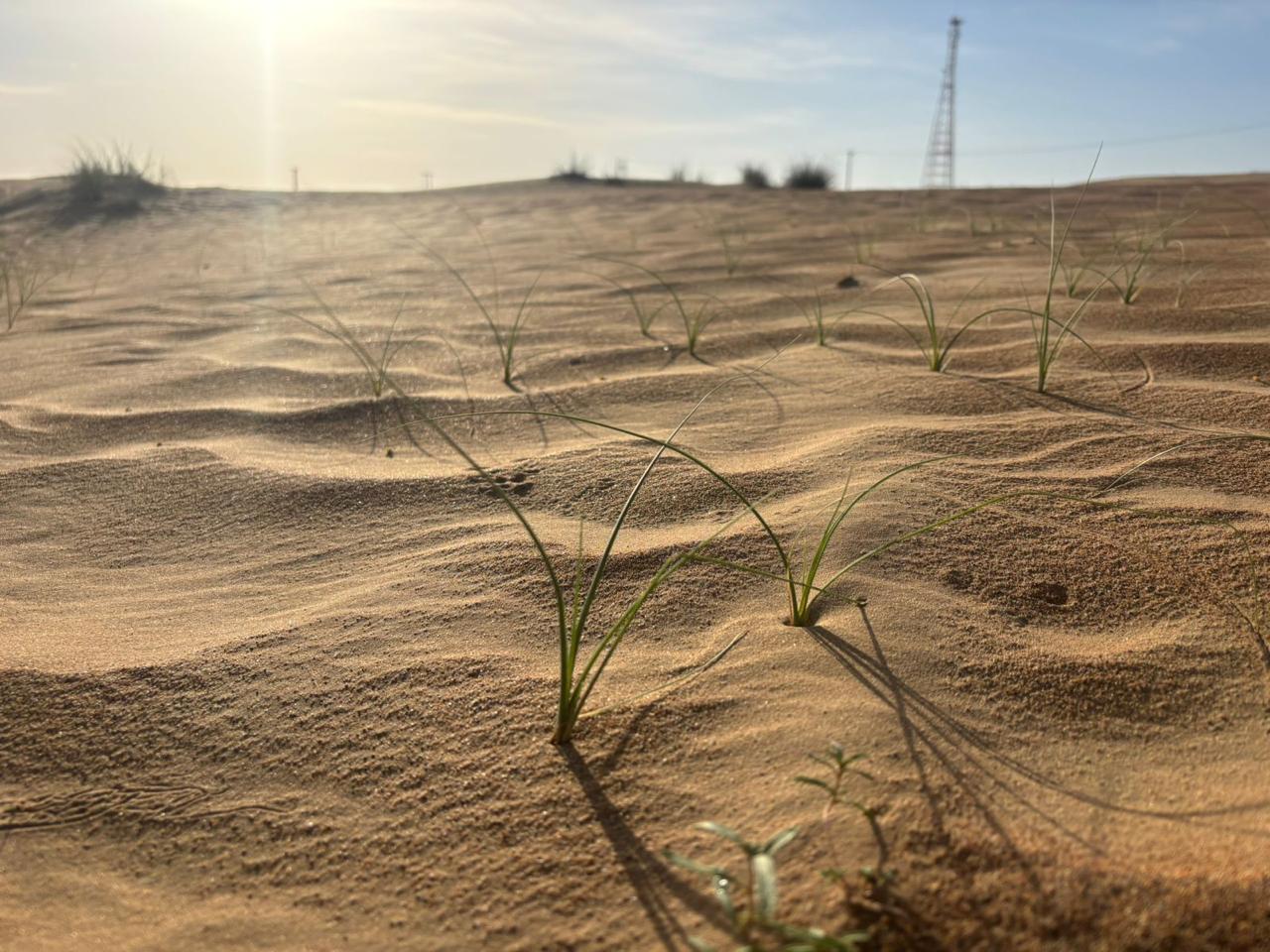 Financial Imperative