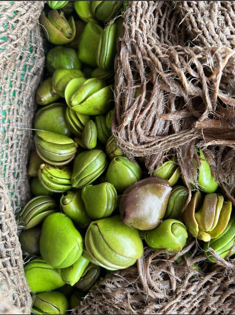 Financial Imperative