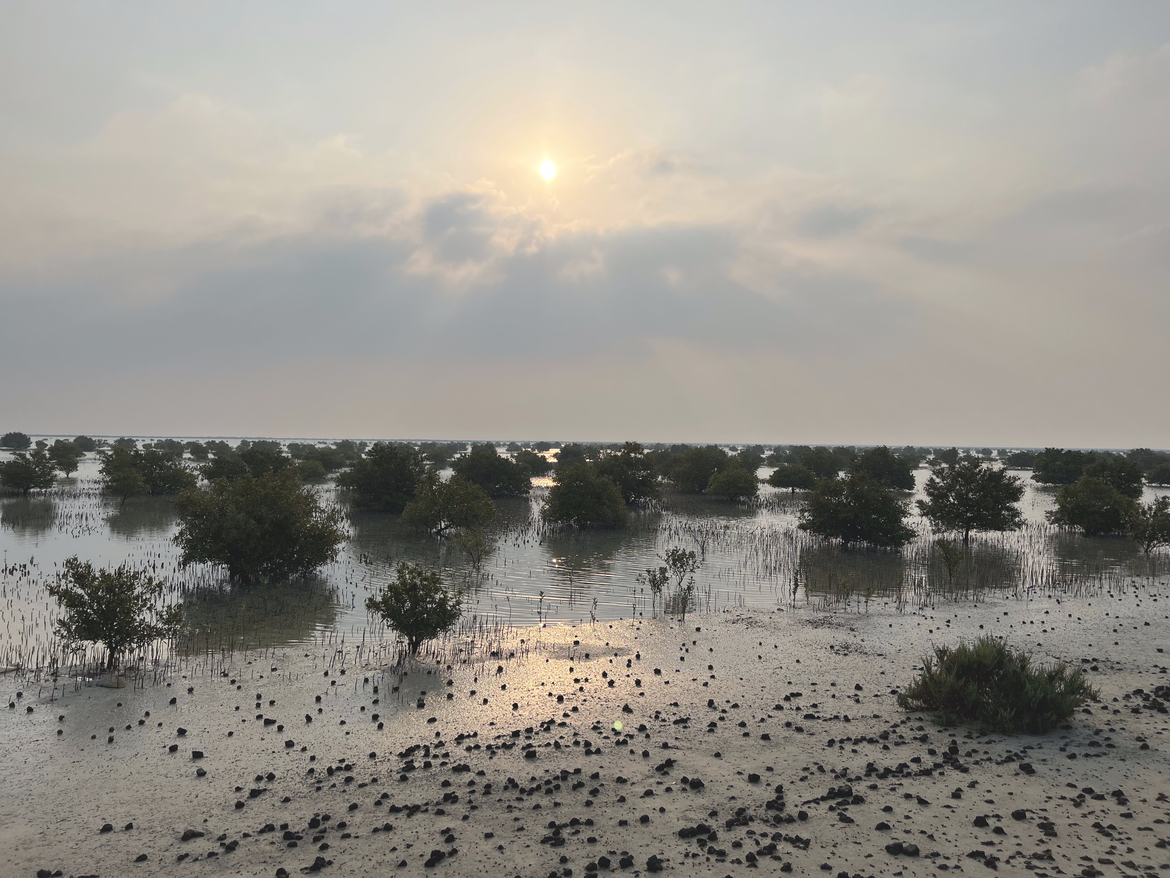 Financial Imperative