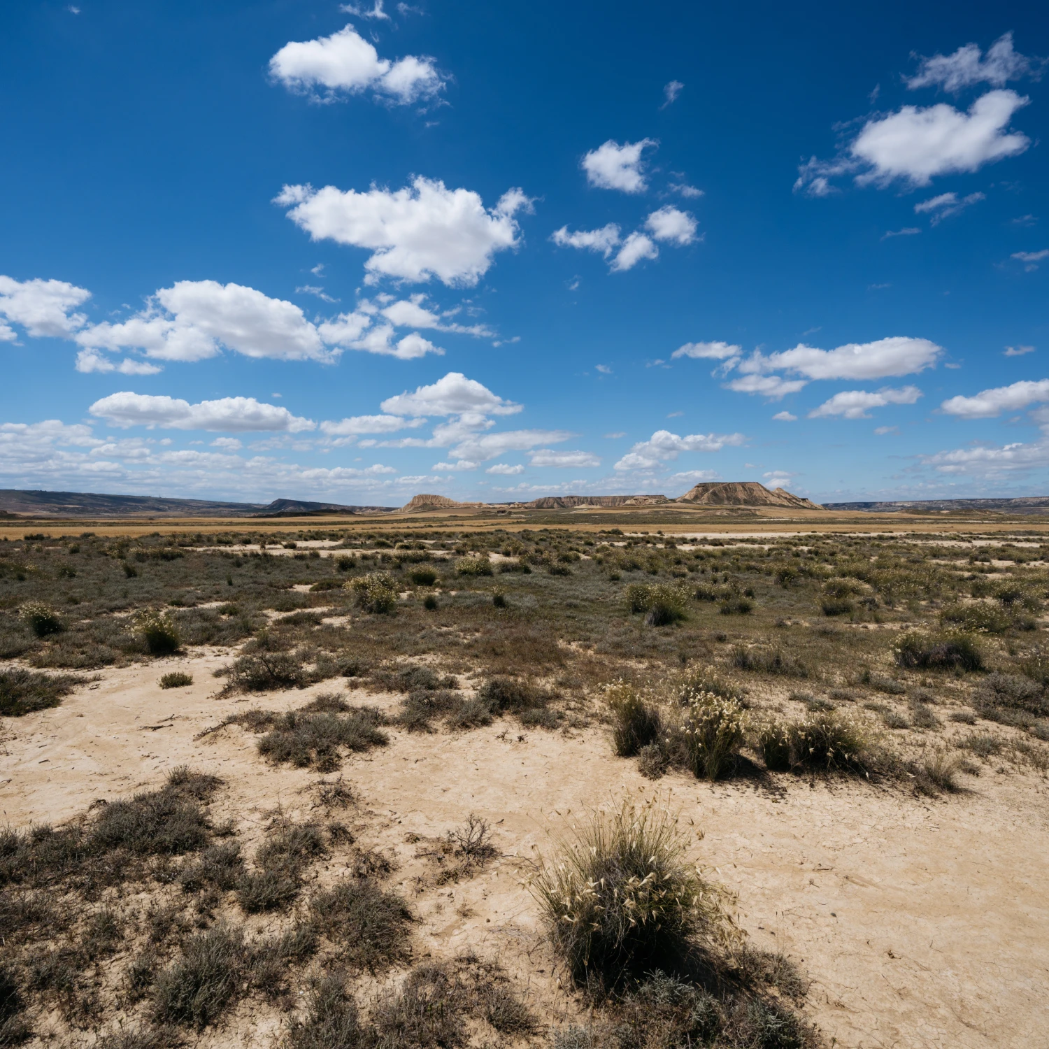 Vast Desert Landscape