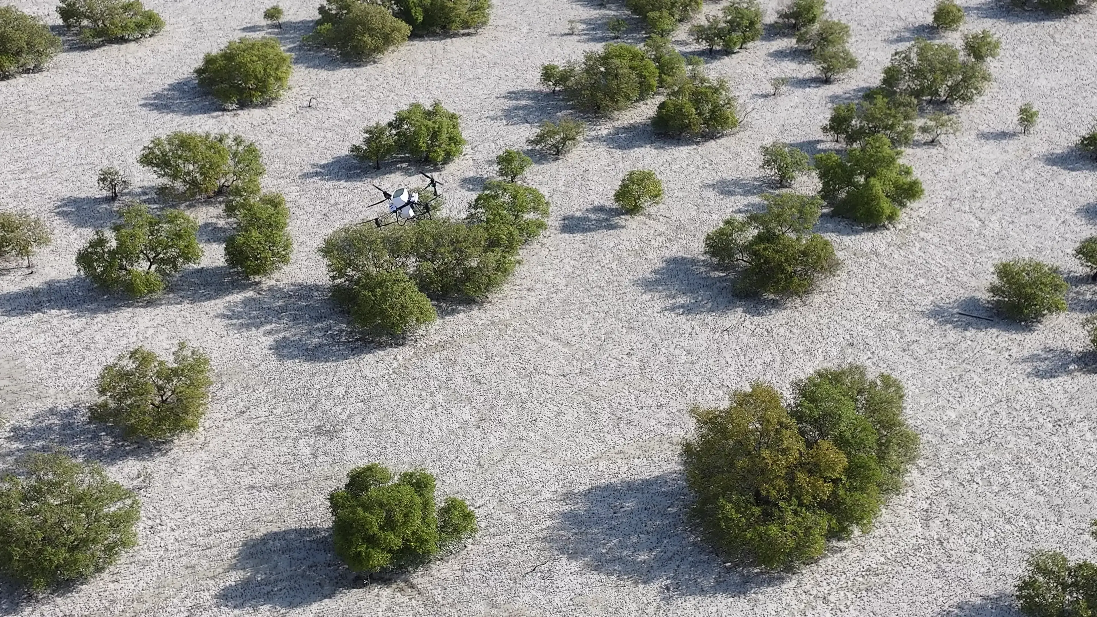 Nabat Uses AI For Sustainability