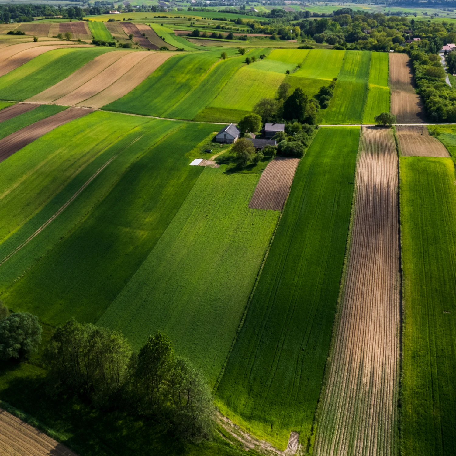 Expansive Farmland